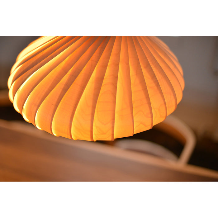 Tom Rossau｜TR22 PENDANT — JIAS ONLINE