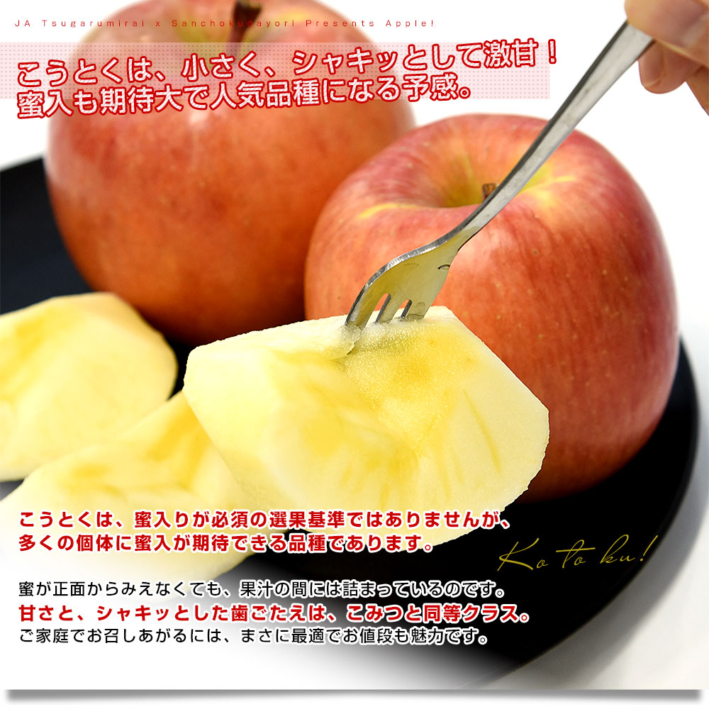 青森産 JA津軽みらい こうとく（高徳） 2.5キロ前後 （12玉から13玉