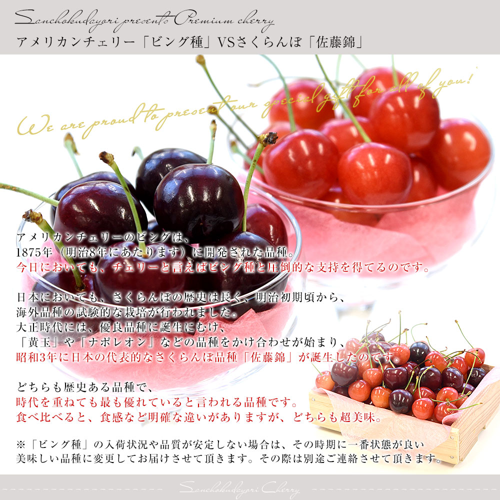 遅れてごめんね】父の日ギフト チェリー食べ比べギフトBOX アメリカン