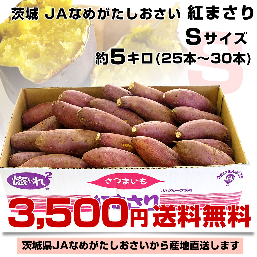 茨城県より産地直送 JAなめがたしおさい さつまいも「紅まさり(べに