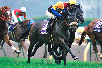 JRAホームページ｜データファイル｜競走成績データ