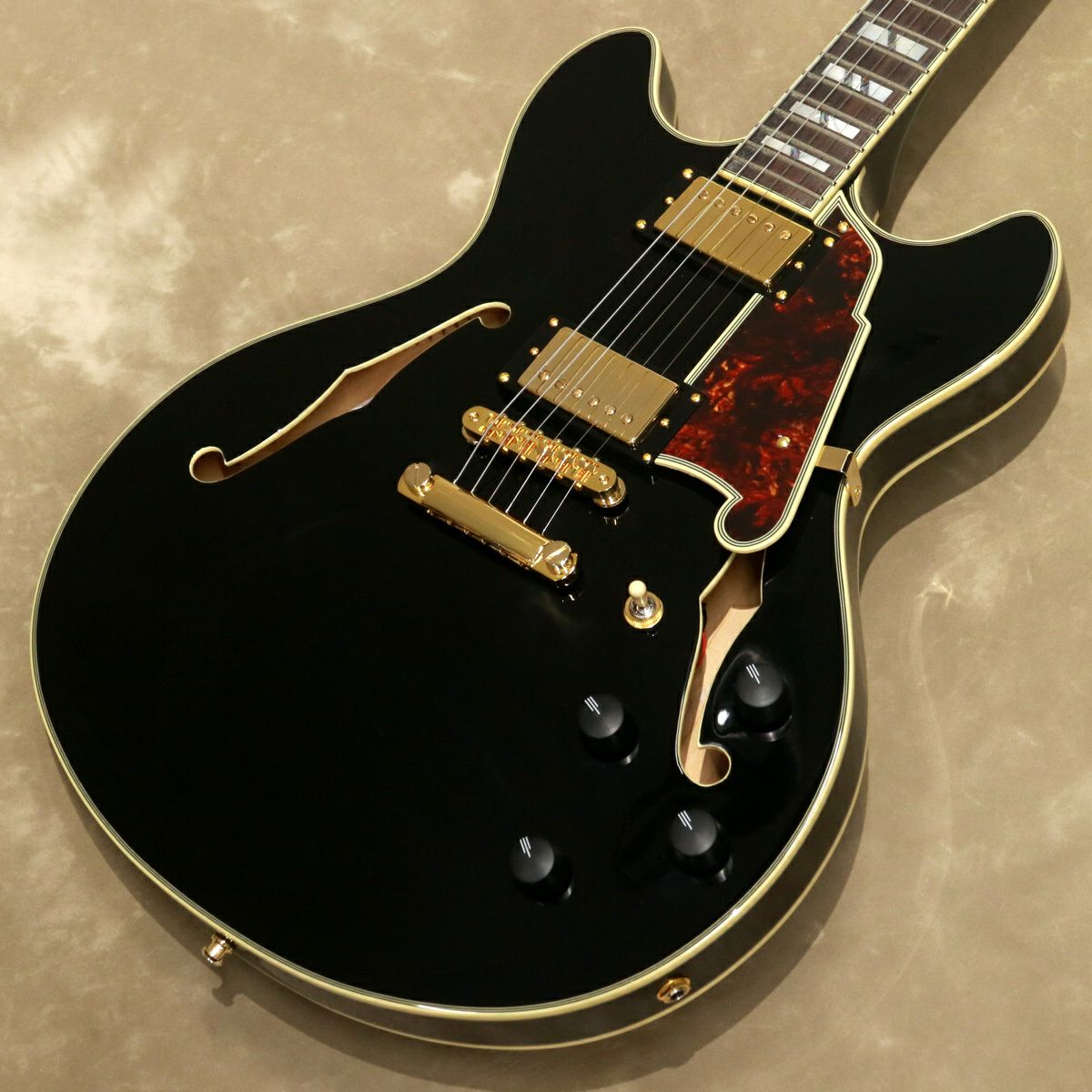 Vigier ( ヴィジェ ) Excalibur Special VE6-CVSP1, Velours Noir