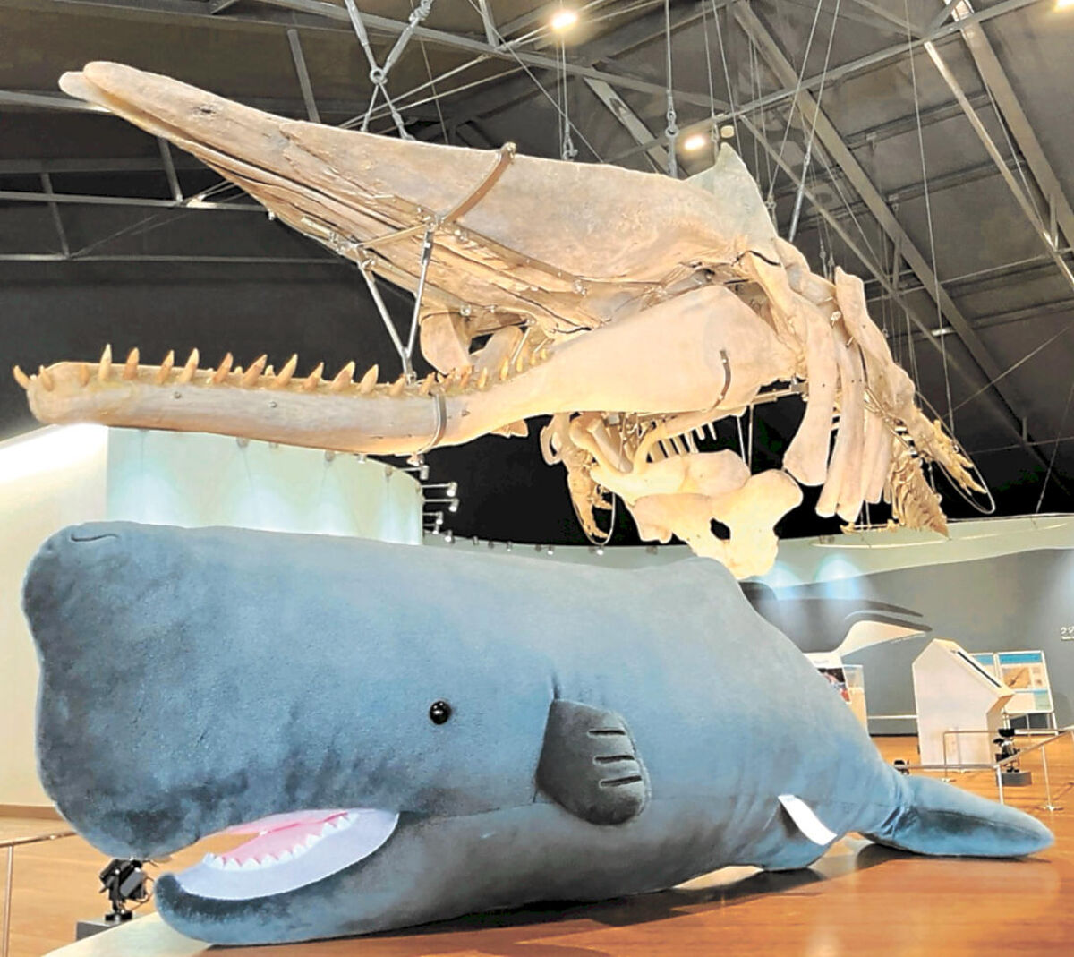 001_size7.jpg?timestamp=