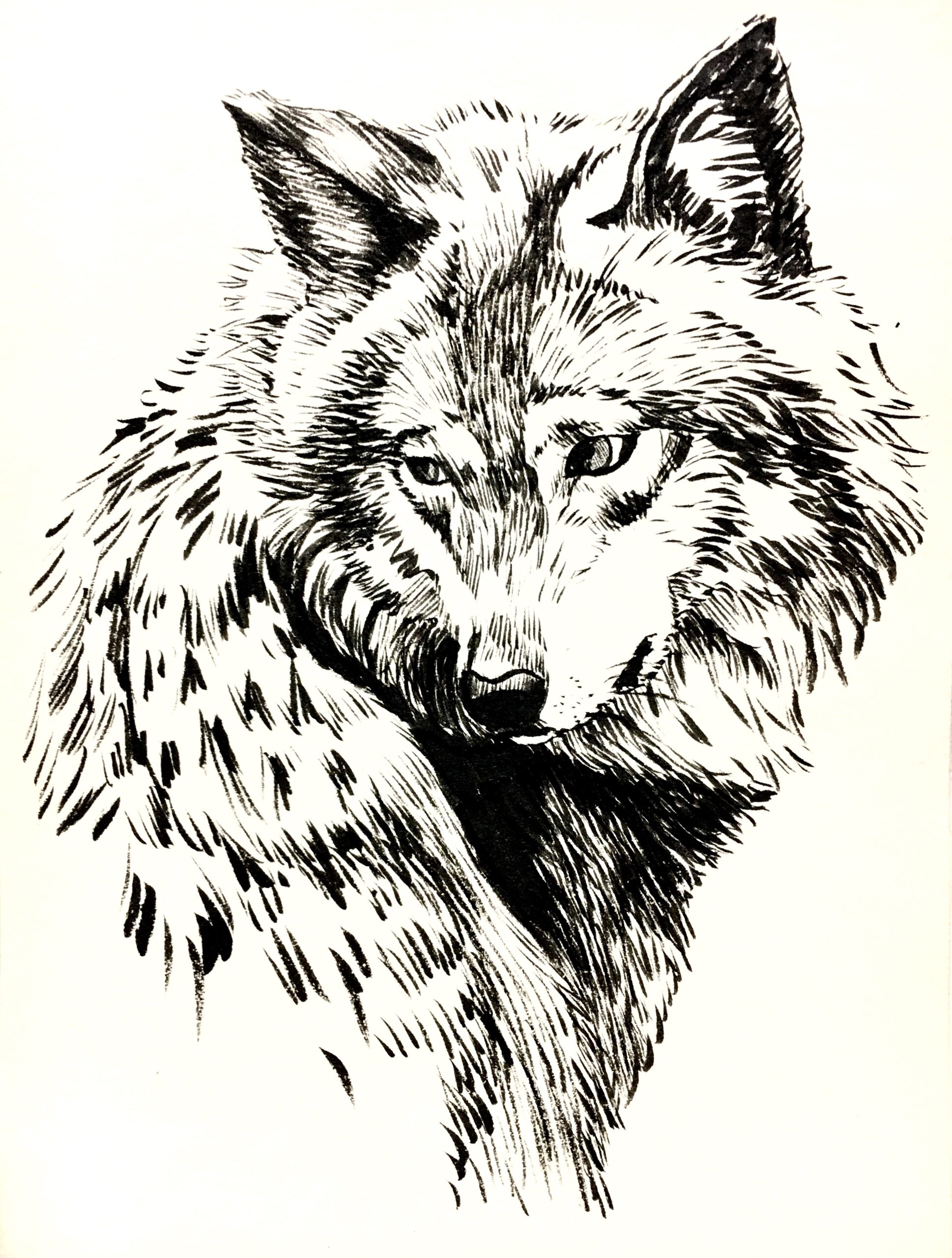 墨絵 WOLF | 美術家 大森かずえ / Artist Kazue Omori