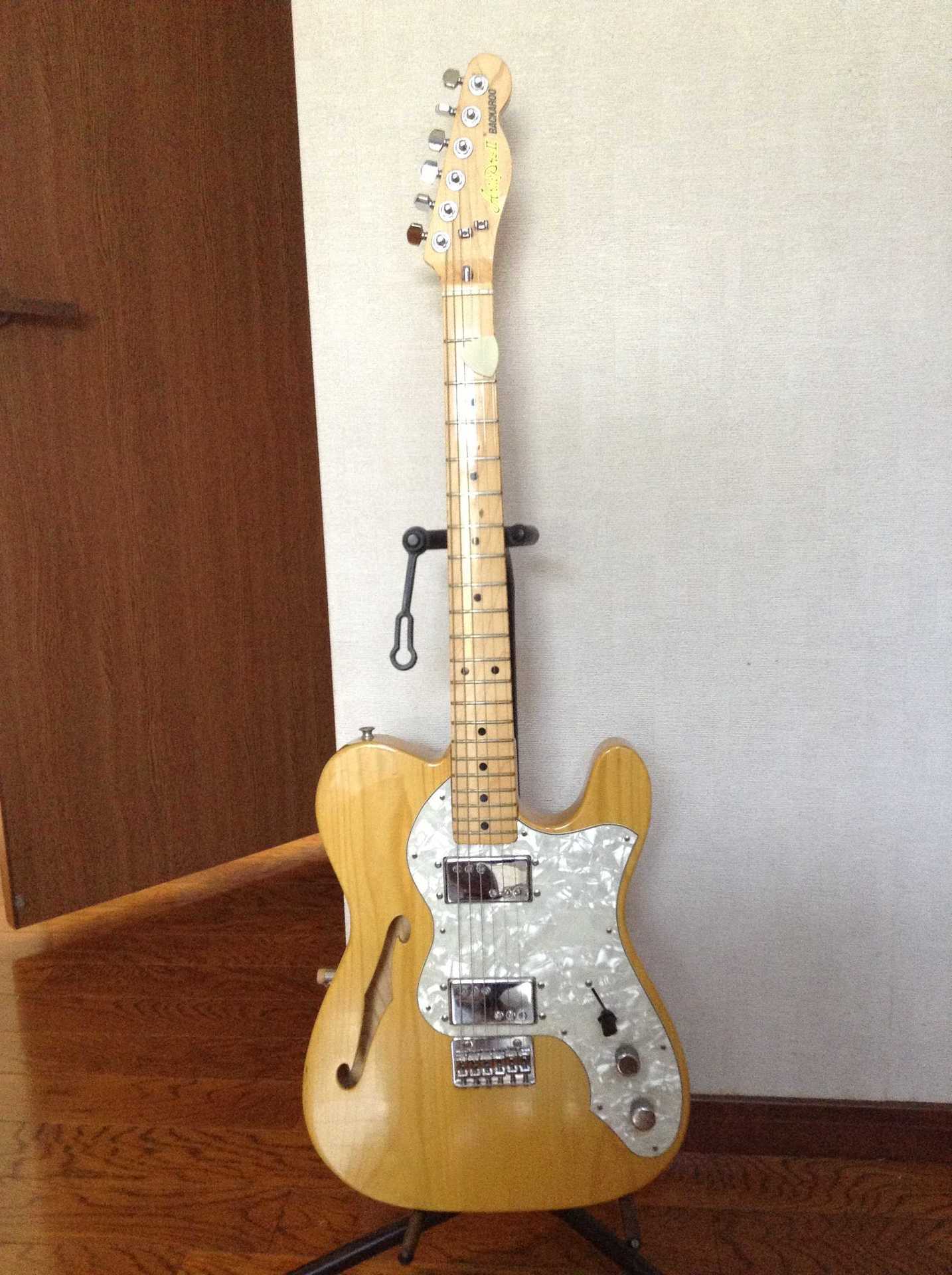 ARIA PROⅡ TE-500N BACKAROO: 昔に比べりゃ 金も入るし・・・・