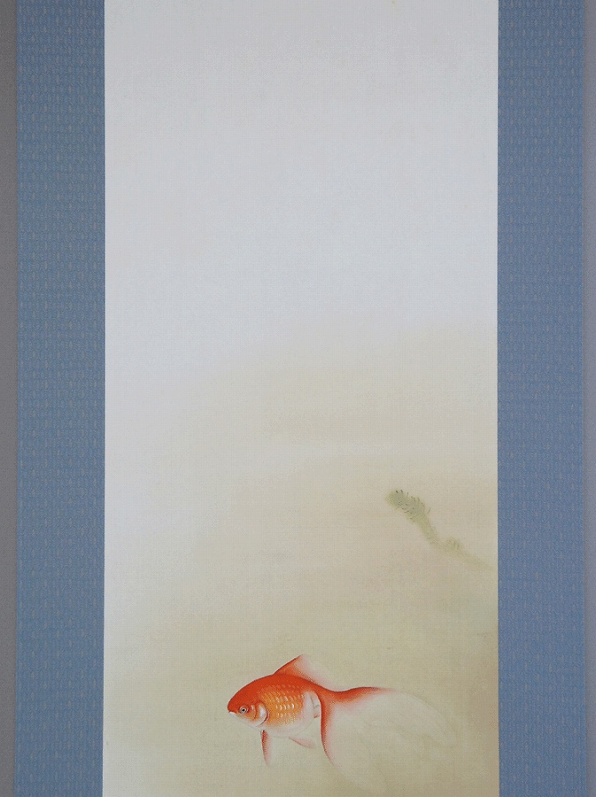 小林柏陽 金魚 | 掛軸(掛け軸)販売／表装ご依頼は掛軸いっぷく掛軸
