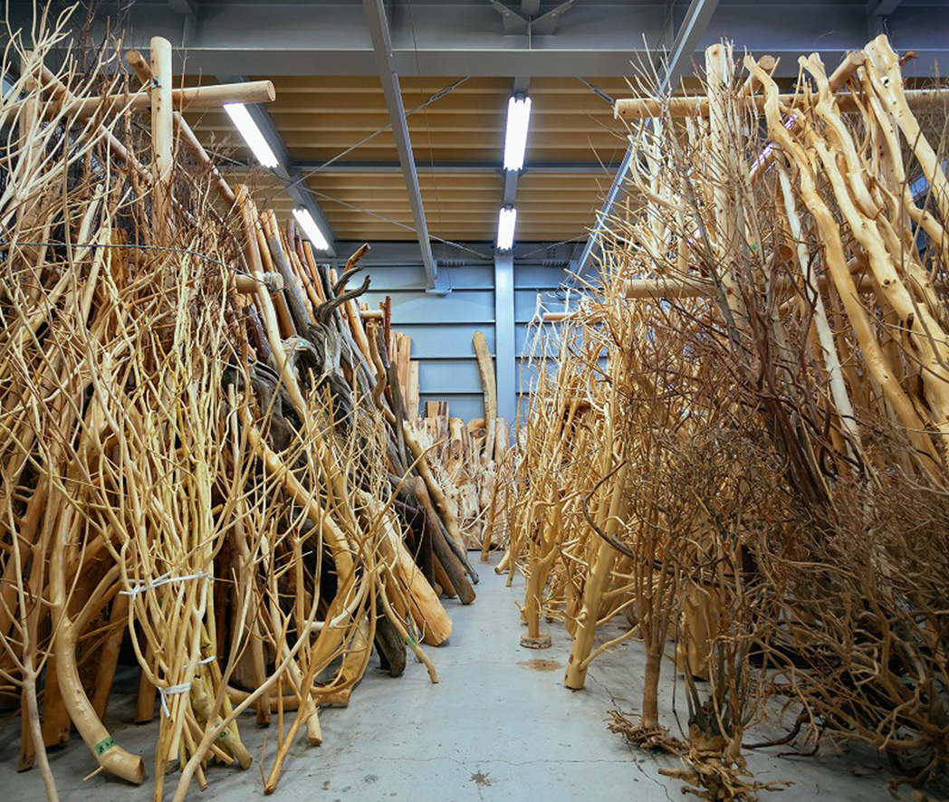通販】白樺・枝・丸太などの自然素材｜店舗ディスプレイをおしゃれに