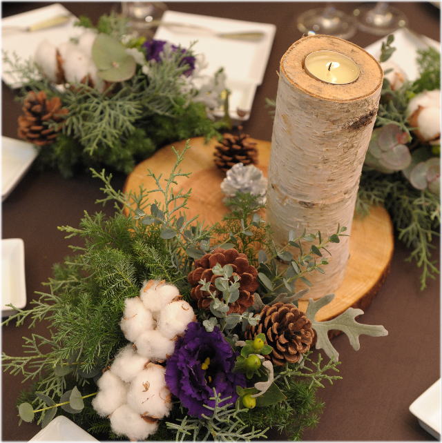 白樺の木・枝、ディスプレイ用木の販売・通販|木のアートきごころARBO