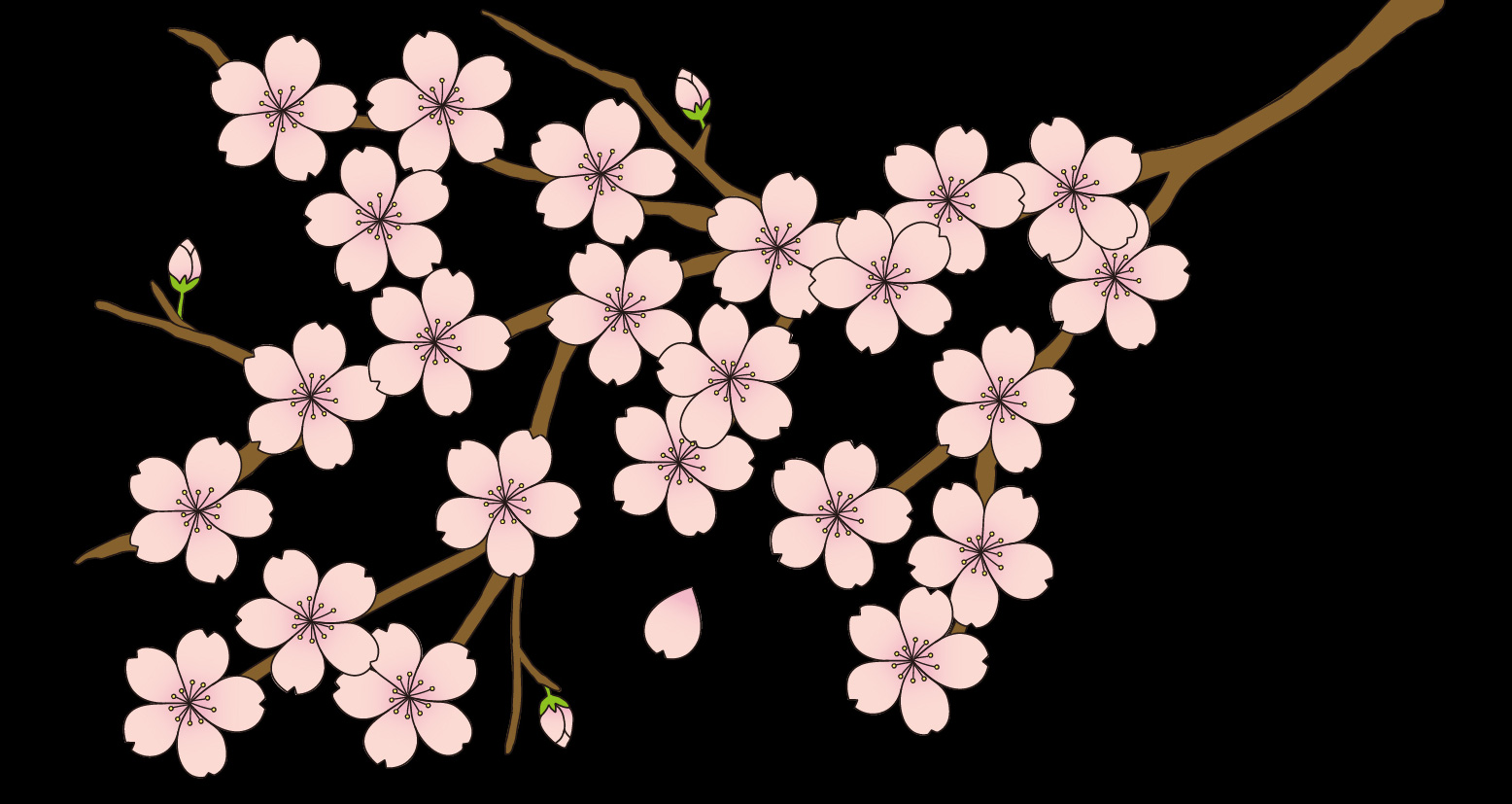 桜のイラストの簡単な描き方【初心者】 - kisa illustration & design