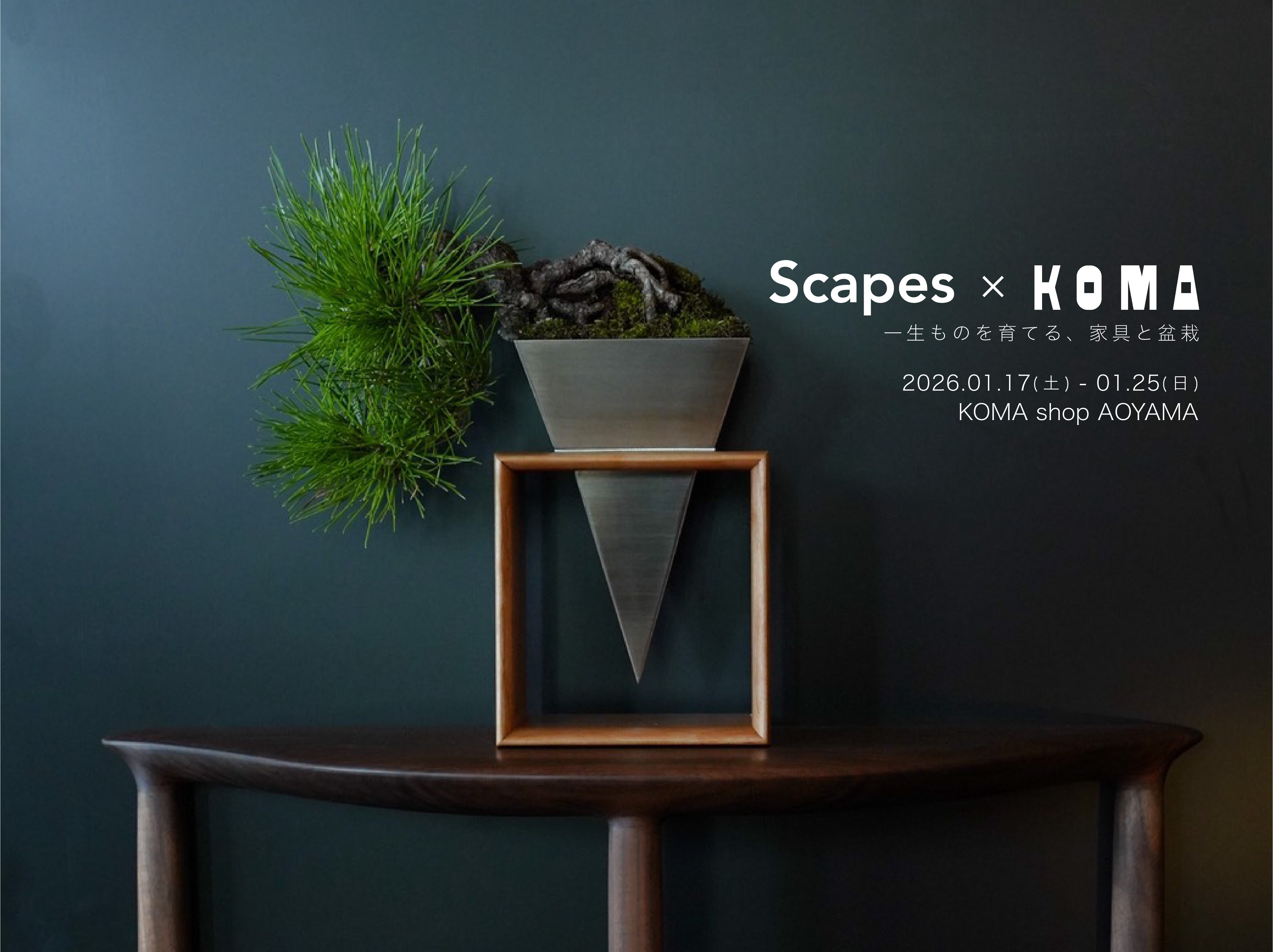 Scapes x KOMA】 Scapes盆栽ワークショップ 参加費のみ(別途、樹と鉢の
