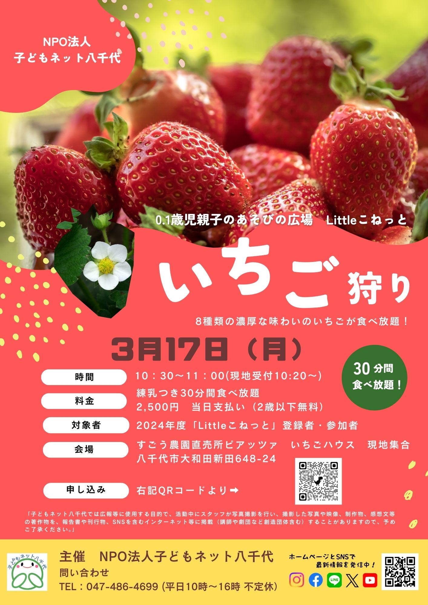 受付終了】Littleこねっと3月特別企画「いちご狩り」 | 千葉県八千代
