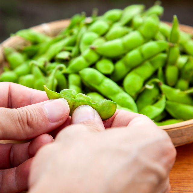 品種食べ比べセットのご注文 - だだちゃ豆の通販・直売所なら山形のだ