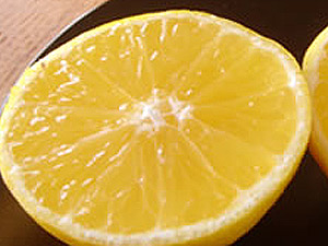 黄金柑 おうごんかん ゴールデンオレンジ【3年生苗】（接ぎ木・素掘り）