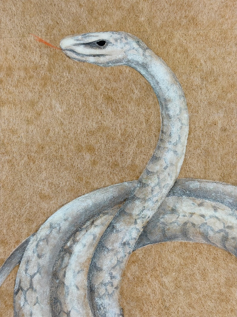 巳（蛇）（色紙）｜新・古美術 高美堂（こうびどう）｜掛軸販売・通販