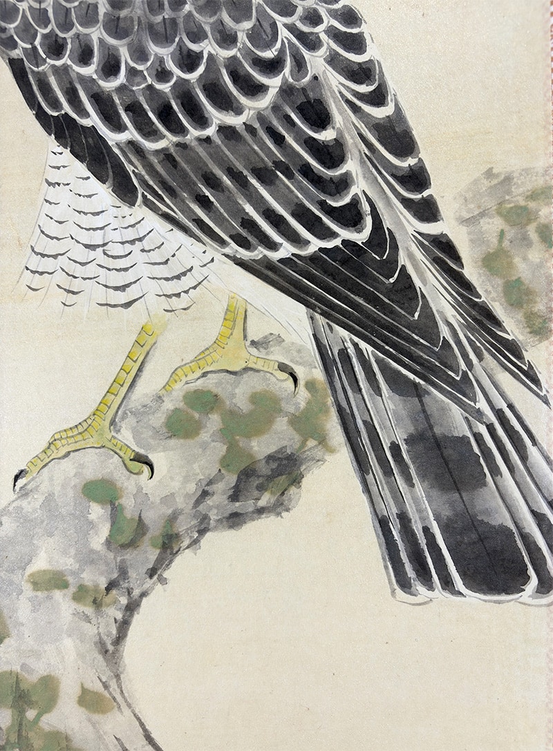 鷹｜新・古美術 高美堂（こうびどう）｜掛軸販売・通販・買取｜骨董