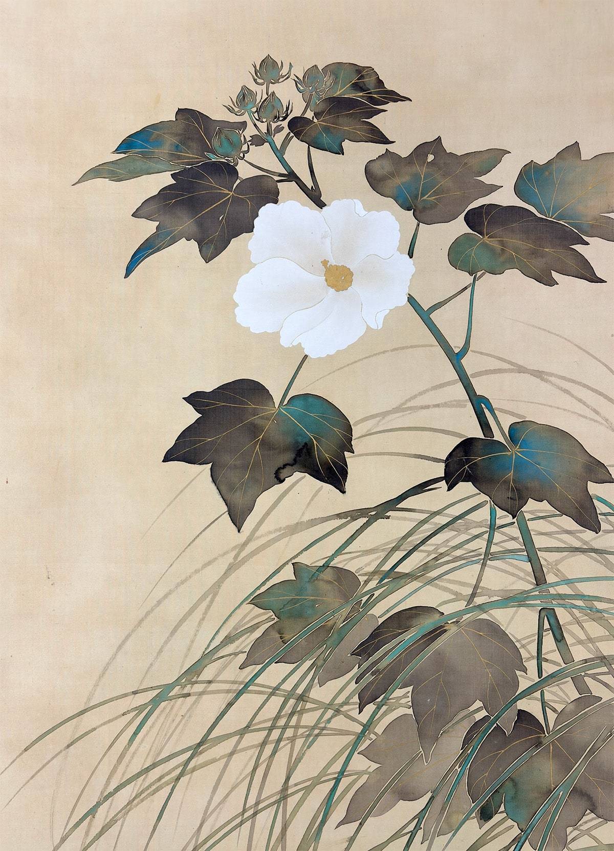 秋苑（芙蓉）｜新・古美術 高美堂（こうびどう）｜掛軸販売・通販