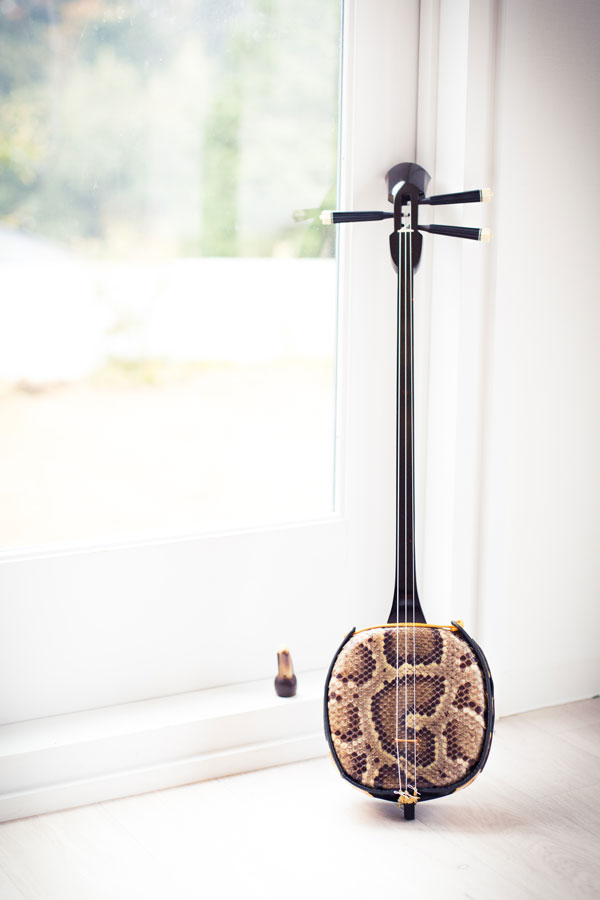 沖縄三線にはなぜ蛇（ニシキヘビ）の皮が張られている？│蛇皮が使用