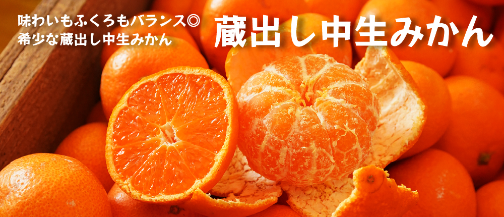 年明けのみかんは蔵出し中生みかん（和歌山県海南市下津町の特産品