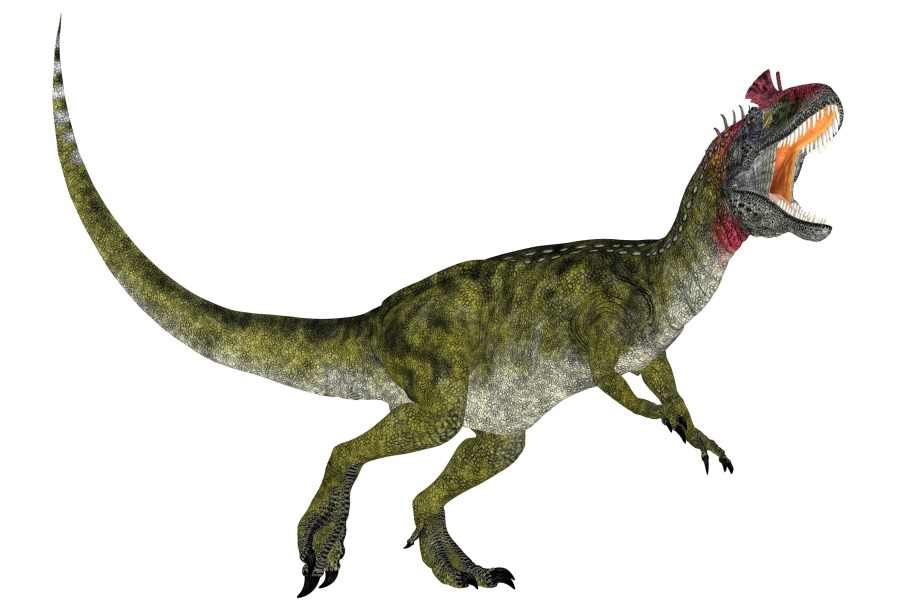 クリオロフォサウルス(Cryolophosaurus) | 恐竜図鑑