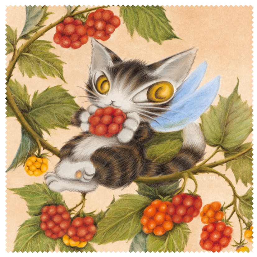 わちふぃーるど新宿ラビリンス店 / ラッピング可