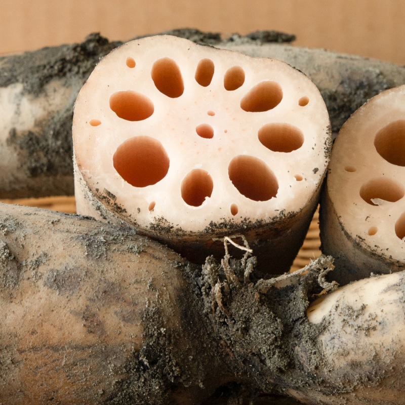 土付きレンコン（2kg） | Lacycle mall（ラシクルモール）