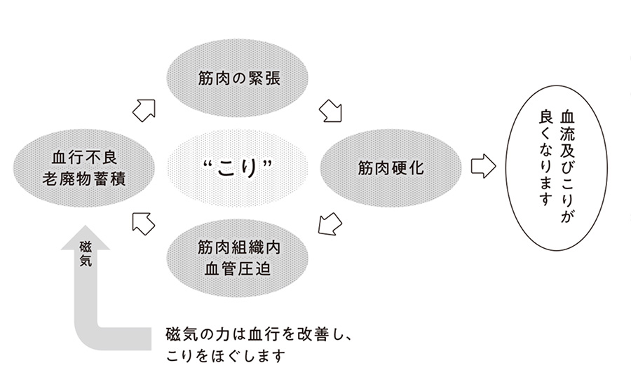 X-mag | グラント・イーワンズ LALA GRANT ｜lala makes happy