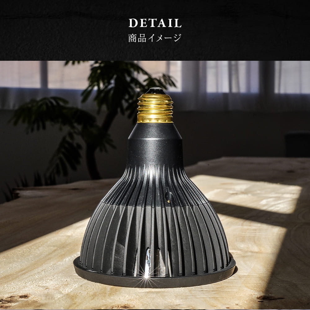 TSUKUYOMI LED 20W BLACK EDITION（ツクヨミLED ブラックエディション