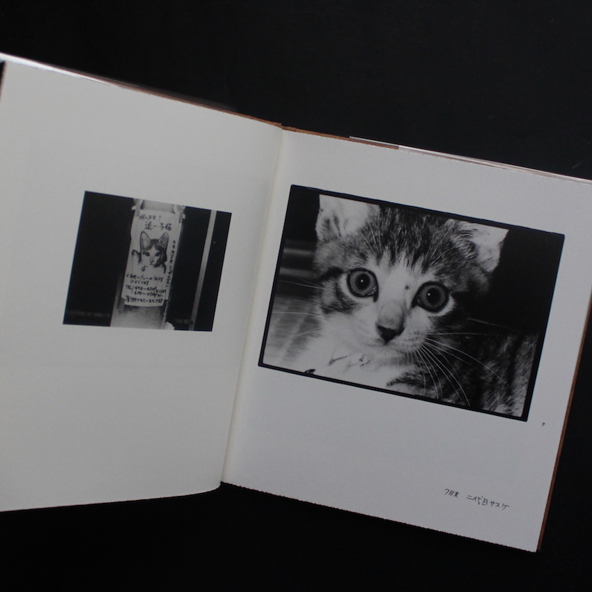 Afterword（Second Edition） - 深瀬 昌久 / Masahisa Fukase