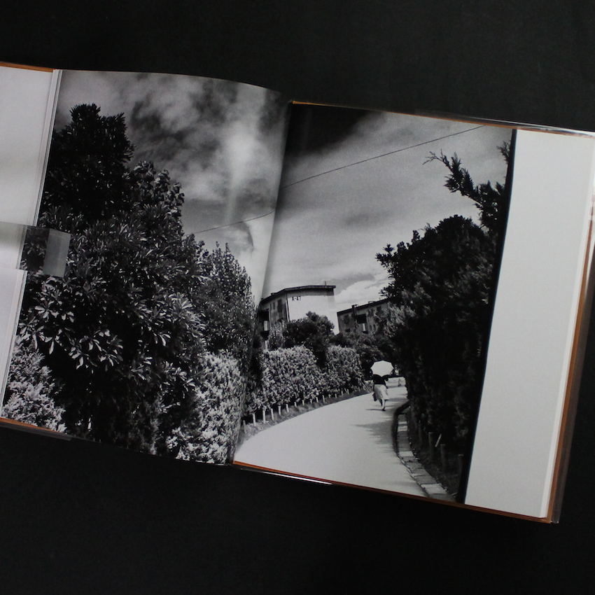 hysteric Twelve（Missing Plastic Cover） - 深瀬 昌久 / Masahisa Fukase