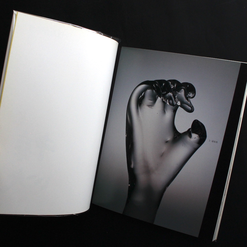 はながらす（Signed） - 中川 幸夫 / Yukio Nakagawa