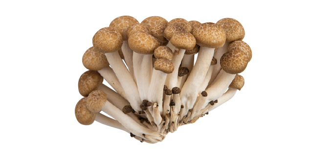 長時間加熱しても型崩れせず、簡単ヘルシー！「しめじ」レシピ3選