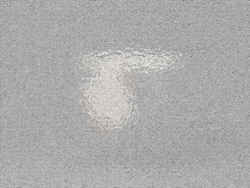 和太守卑良 ぐい呑など 取扱作品一覧 | マッジョーレ美術