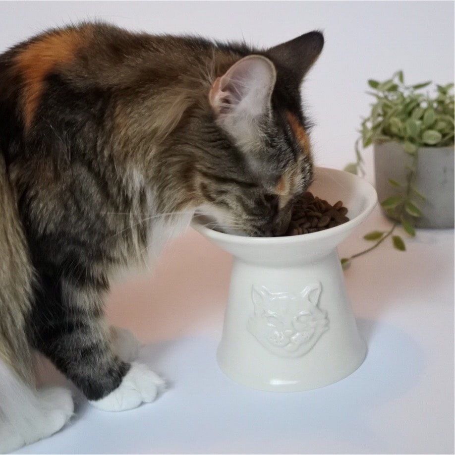 ORIGINAL】Furbaby FOOD BOWL/半磁器製脚付フードボウル | 餌皿