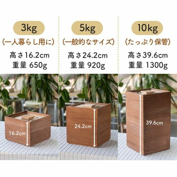 増田桐箱店 桐製 米びつ 10キロ 米びつ 黒 (柿渋) 米びつ 10kg 桐の