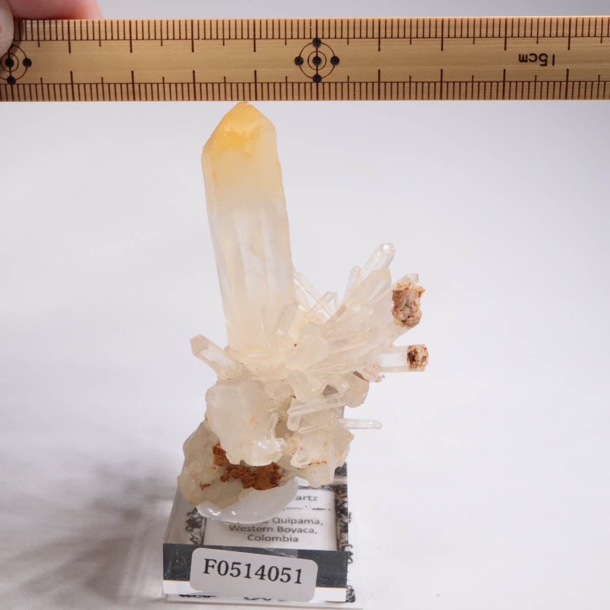 コロンビア産 マンゴークォーツ | 鉱物標本,カ行,クォーツ/水晶