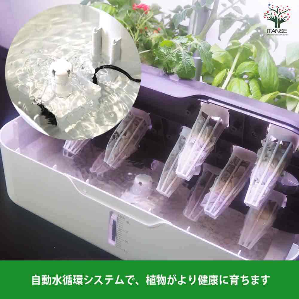 水耕栽培スマートプランター 育成LEDライト付【水耕栽培セット