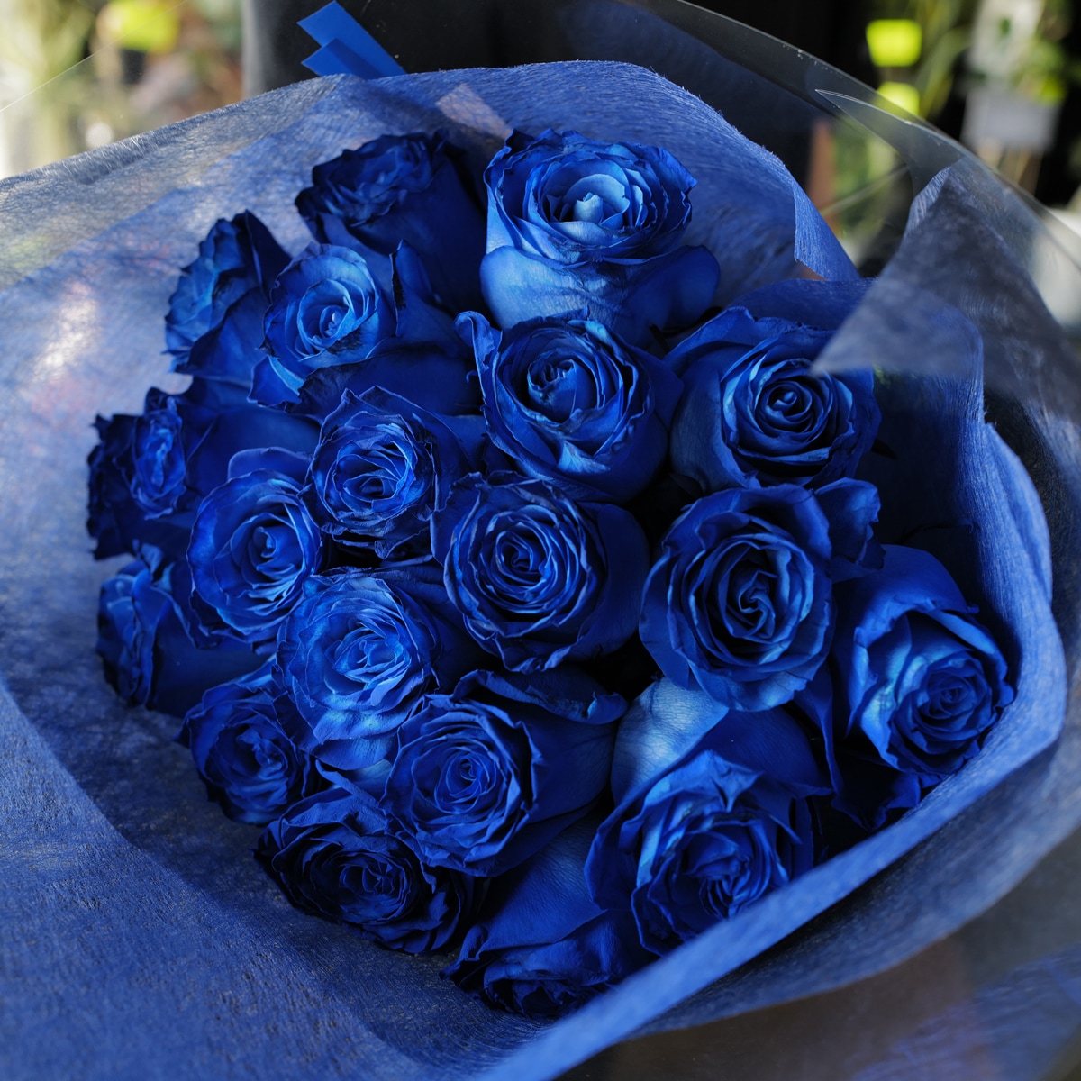 青いバラ 20本の花束 | 色から探す,青,青いバラ,生花,花束 | ROSESHOP