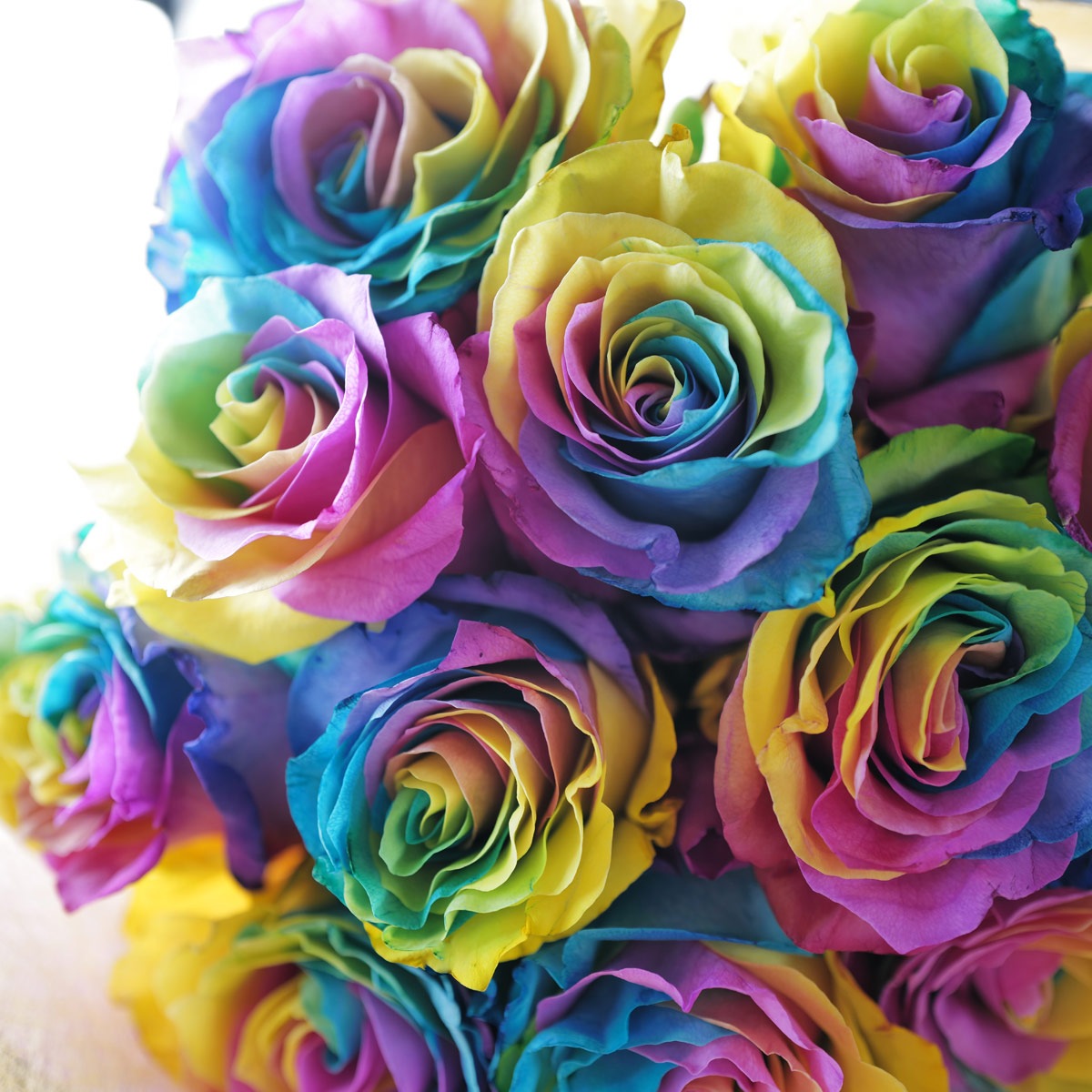 レインボーローズ 本数指定 | バラ・生花,レインボーローズ,本数指定