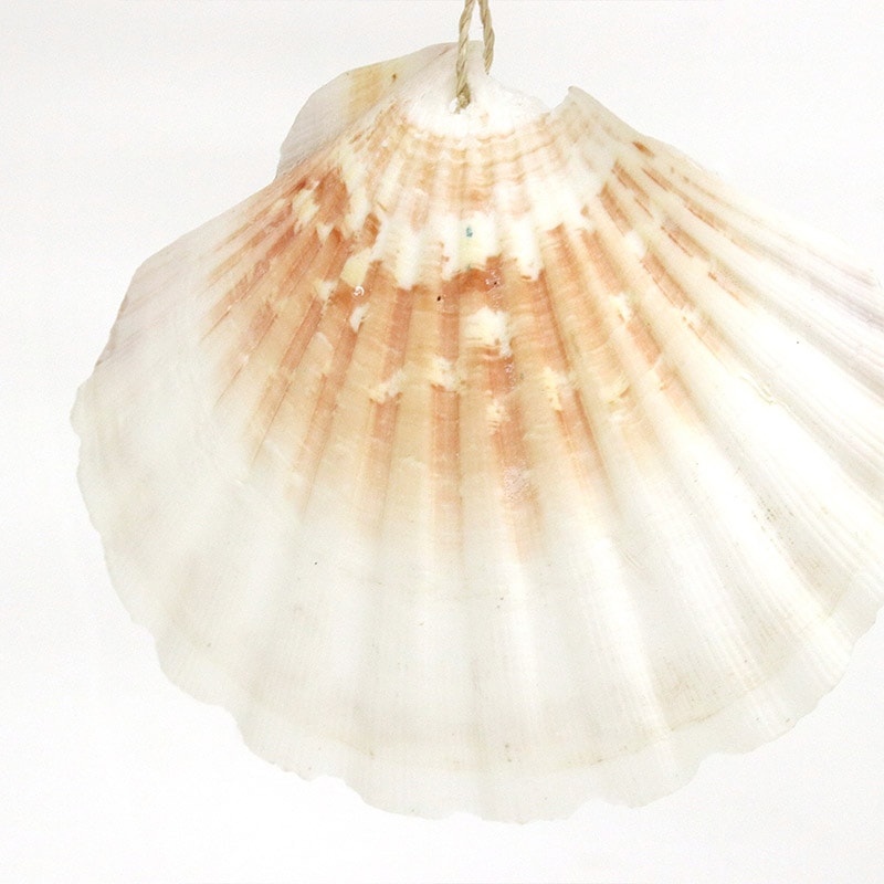 shanti / 流木ガーランド｜テソロ(tesoro)公式通販