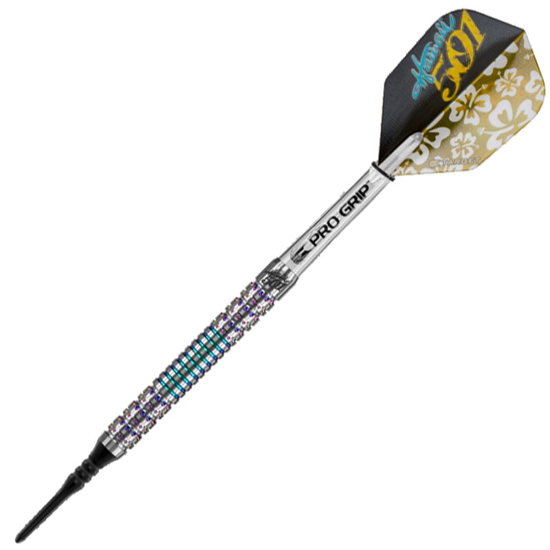 Target】ターゲットダーツ WAYNE MARDELウェイン・マーデルモデル