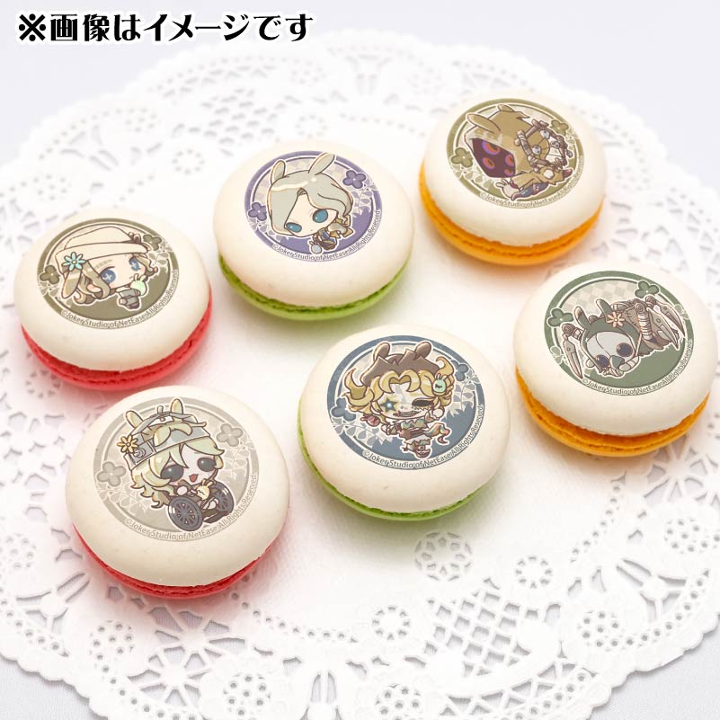 イースターデザインプリマカロン6個セット（「レディ・ファウロ」&写真