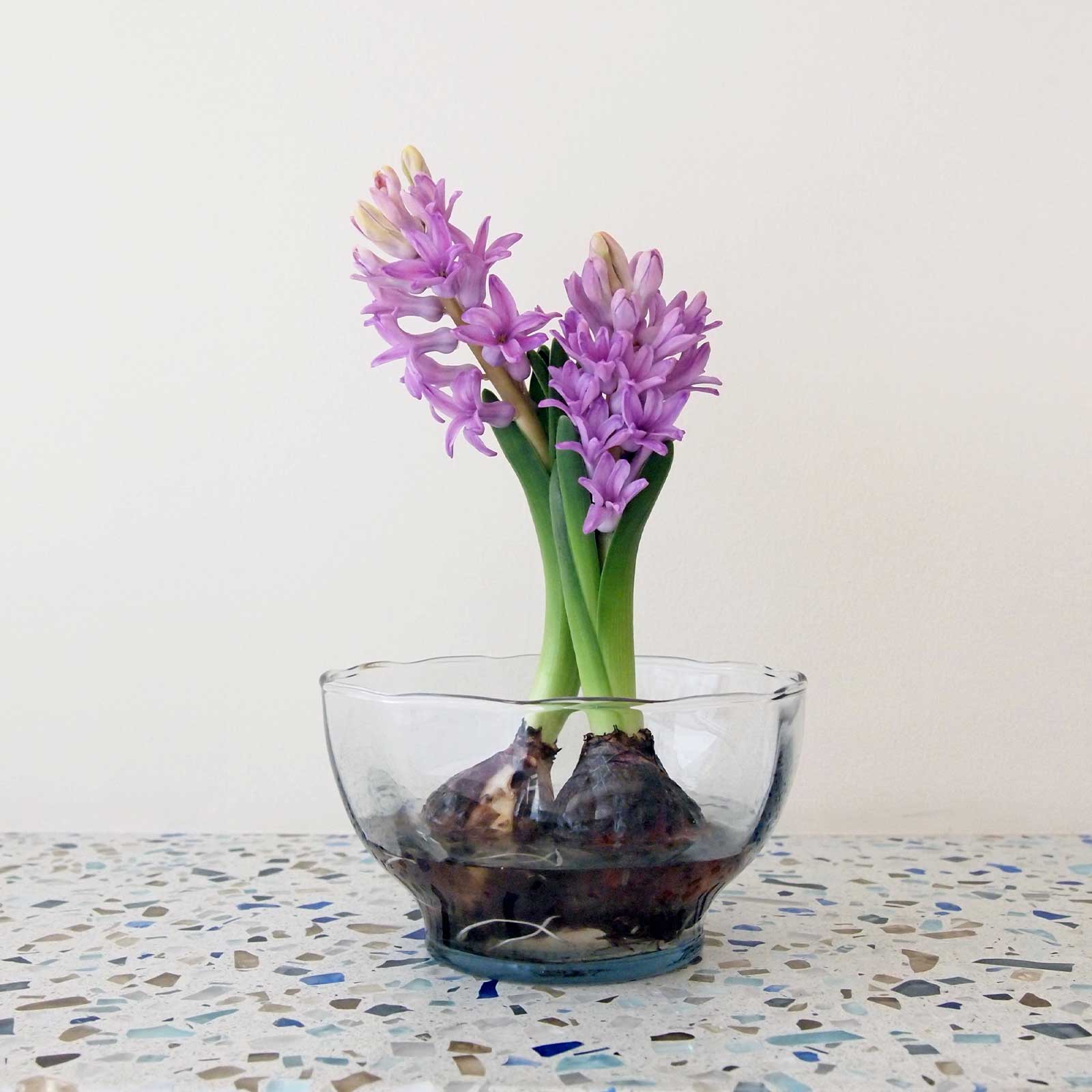 ア リトル モア：サラダボウル モール ペア GIFT | ガラス製品 | Sghr