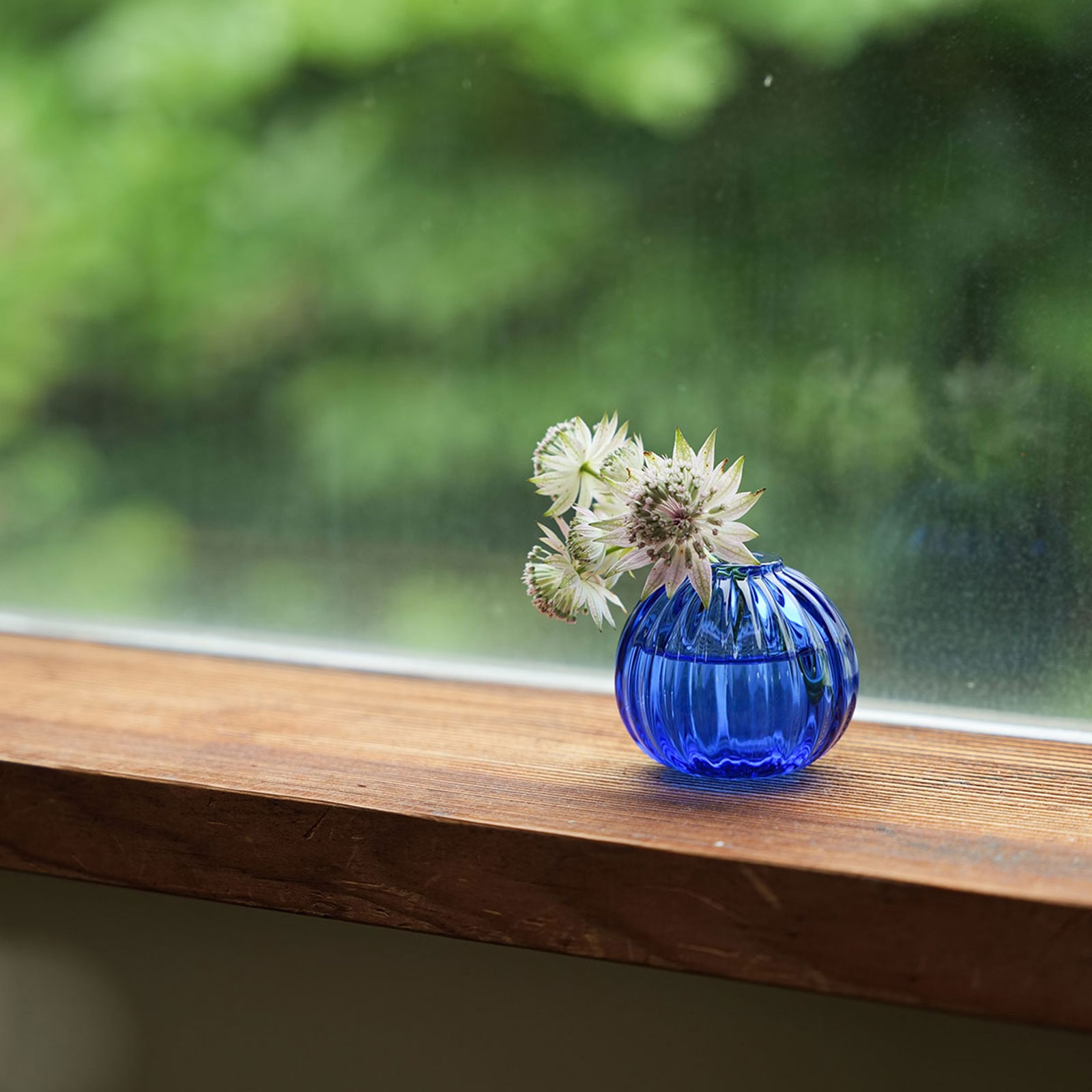 フラワーベース：一輪挿し モール (S) | 一輪挿し | Sghr