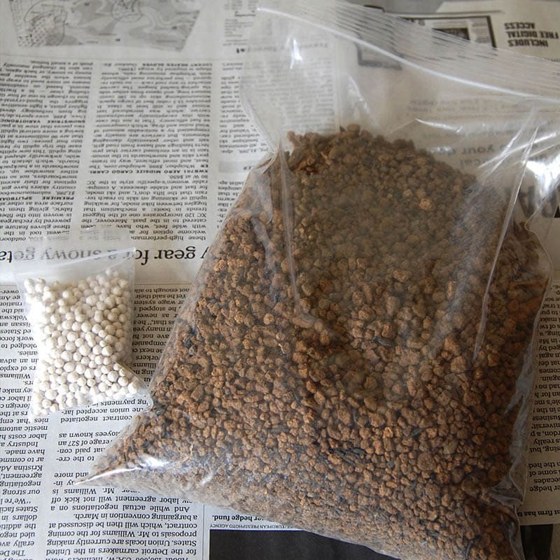 おすすめ！サボテンの苗キット（10品種の苗＋ブレンド土M＋肥料