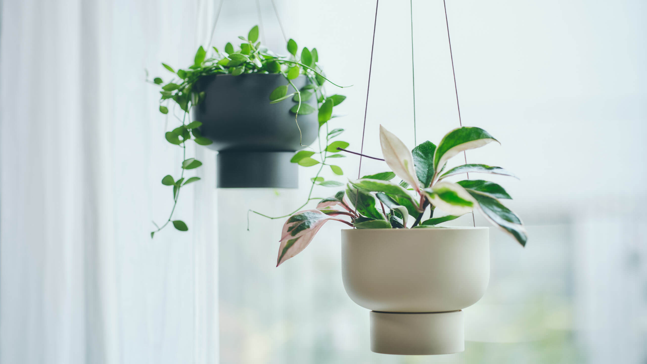 marna】ハンギングプラントポット(サンドベージュ): インテリア