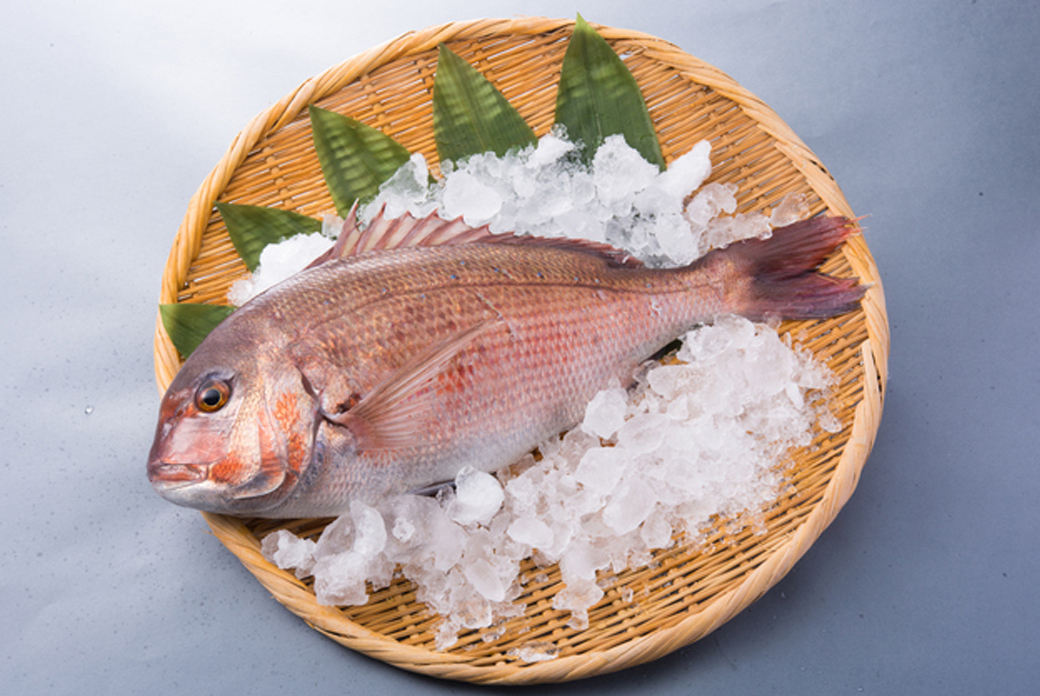 お祝いしタイ！ | 株式会社中村商店