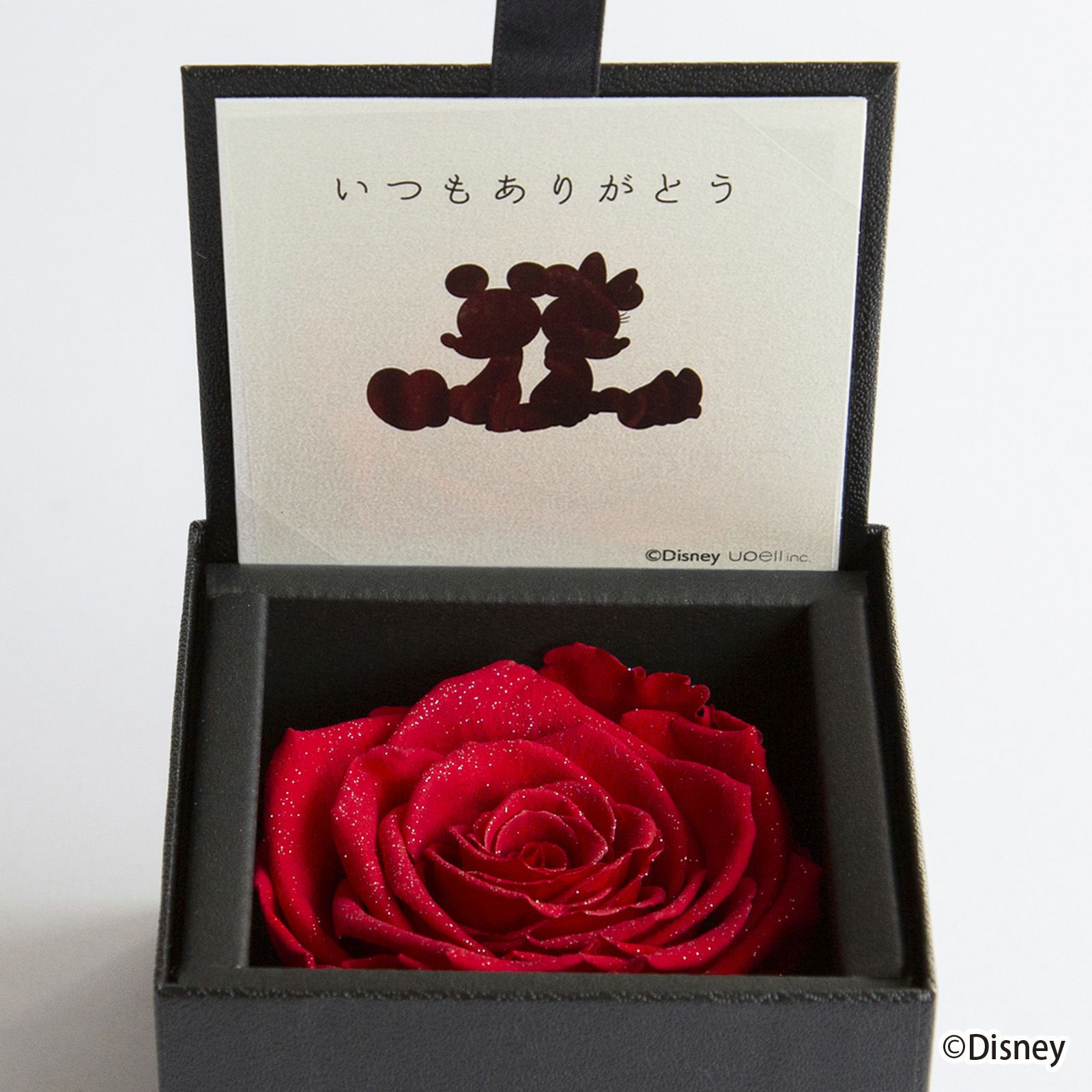 000000000337-01-m.jpg?t=