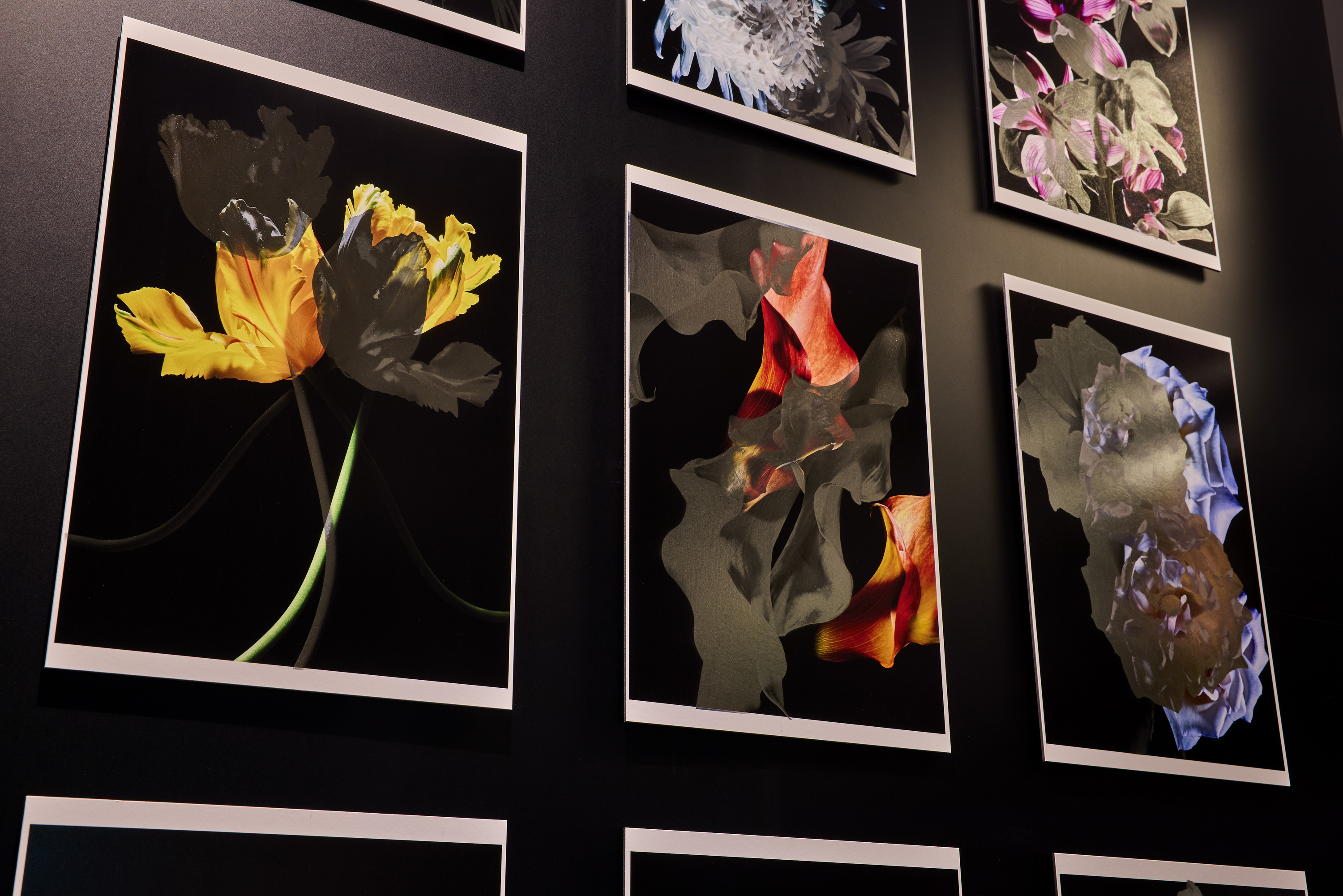 大阪、2月に行くべき無料のアート展10選