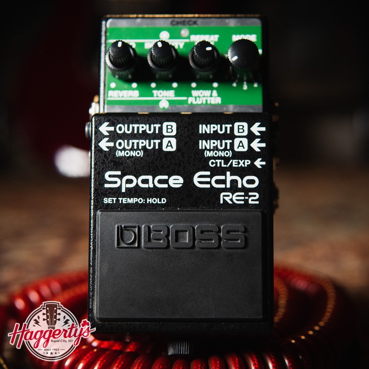 Boss RE-2 Space Echo Delay Pedal - 761294519028