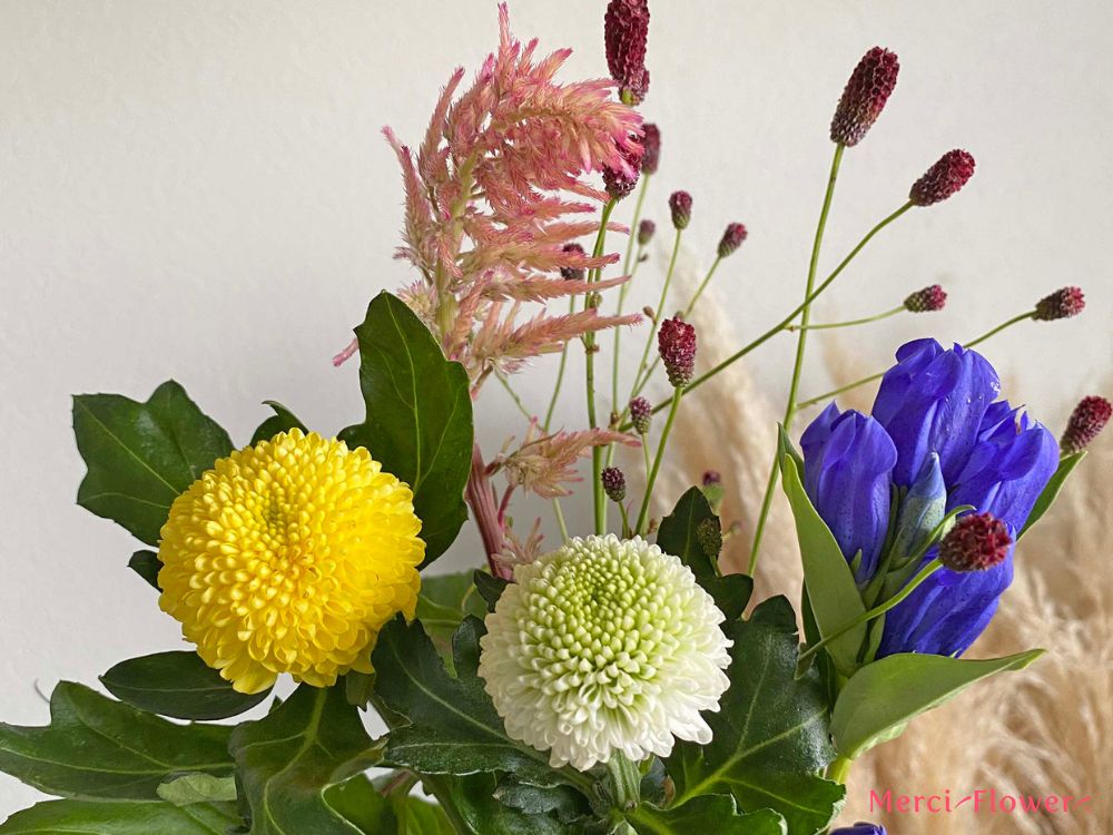 お月見の花とは？秋の七草で「十五夜」と「十三夜」を彩ろう